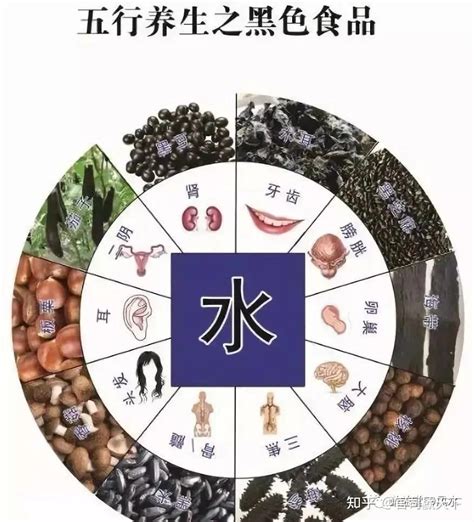 五行属水的食物|五行属水的食物有哪些